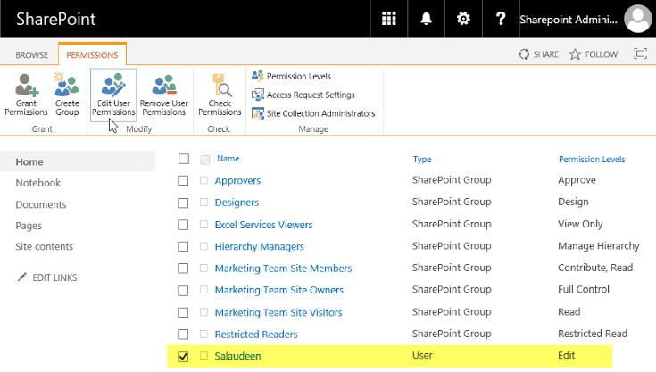 SharePoint permissions list with groups, users, and named permission levels